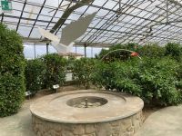 3. Reisetag – Führung durch den Zitronengarten „Oscar Tintori“