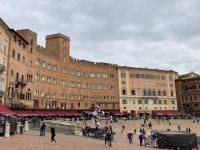 4. Reisetag – Stadtführung durch Siena – Piazza del Campo