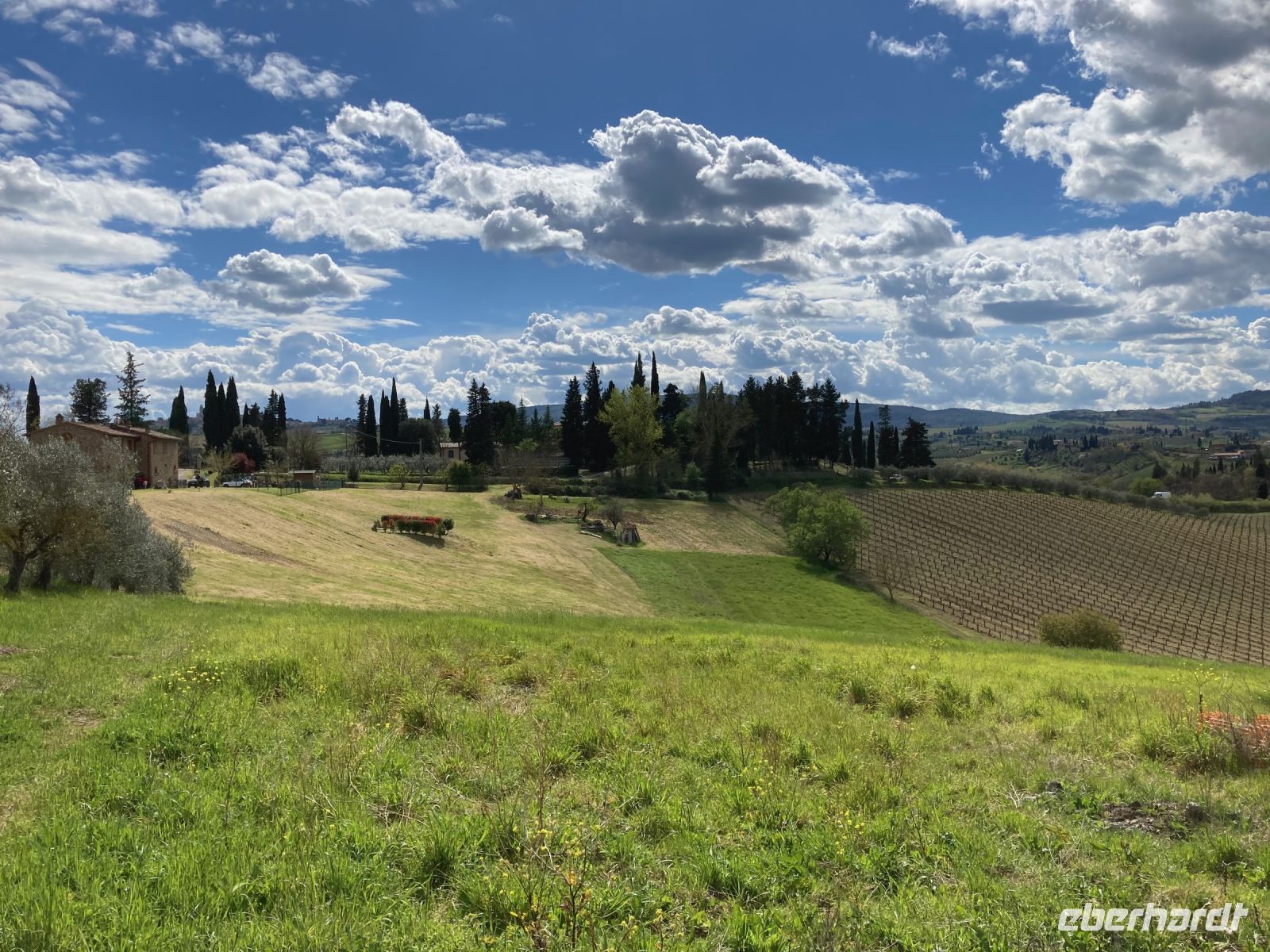 4. Reisetag – Besuch auf dem Safran-Bauernhof bei San Gimignano