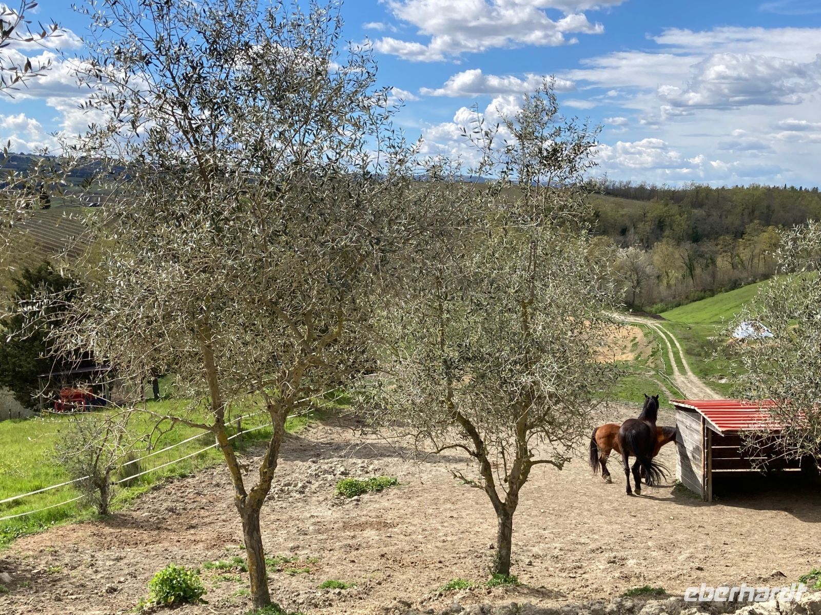 4. Reisetag – Besuch auf dem Safran-Bauernhof bei San Gimignano