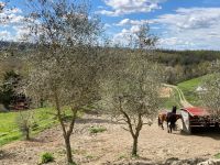 4. Reisetag – Besuch auf dem Safran-Bauernhof bei San Gimignano