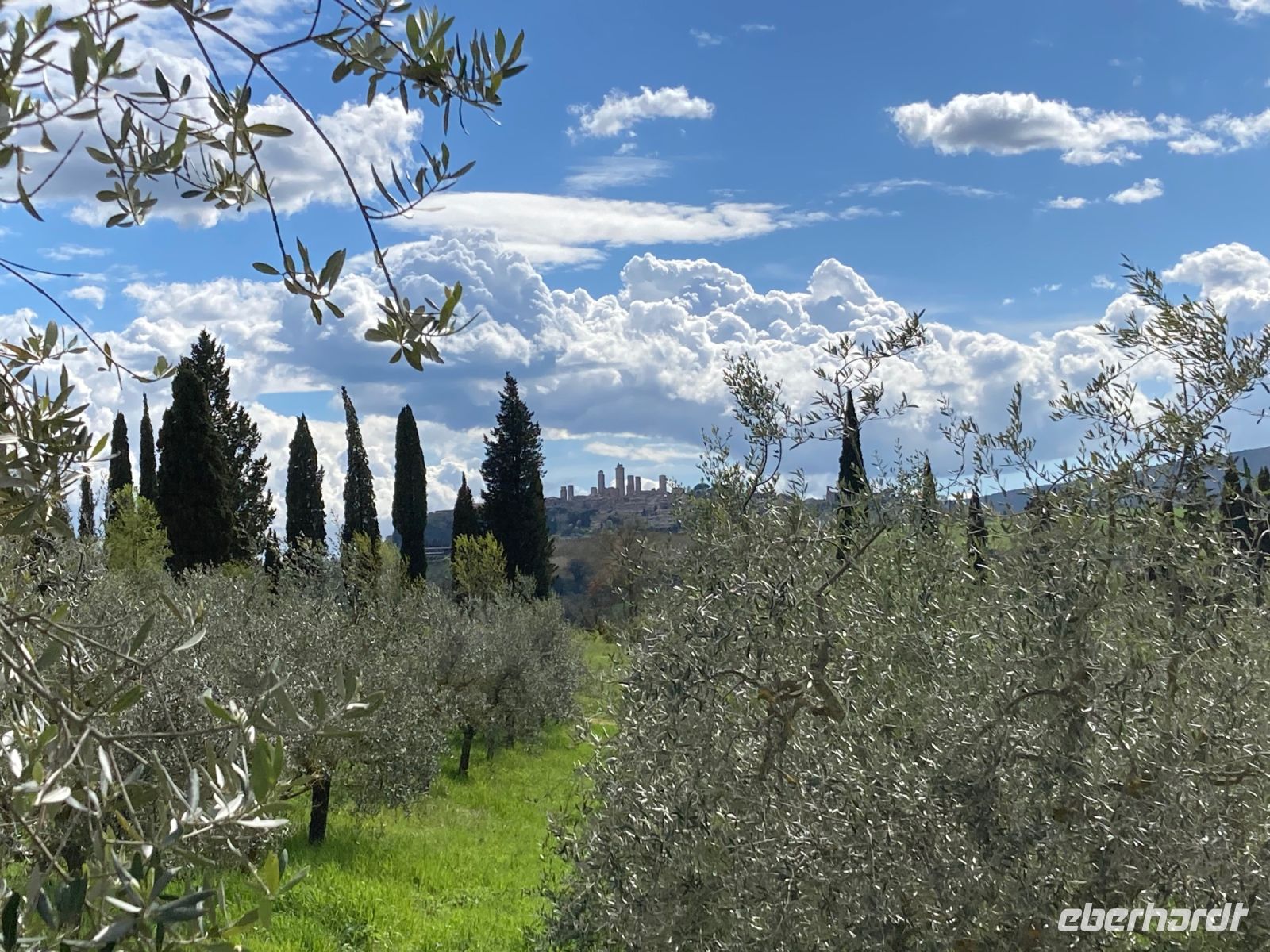 4. Reisetag – Besuch auf dem Safran-Bauernhof bei San Gimignano
