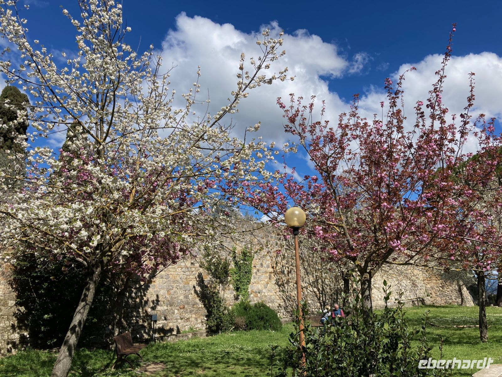 6. Reisetag – Stadtführung in San Gimignano – Parco della Rocca
