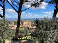6. Reisetag – Stadtführung in San Gimignano