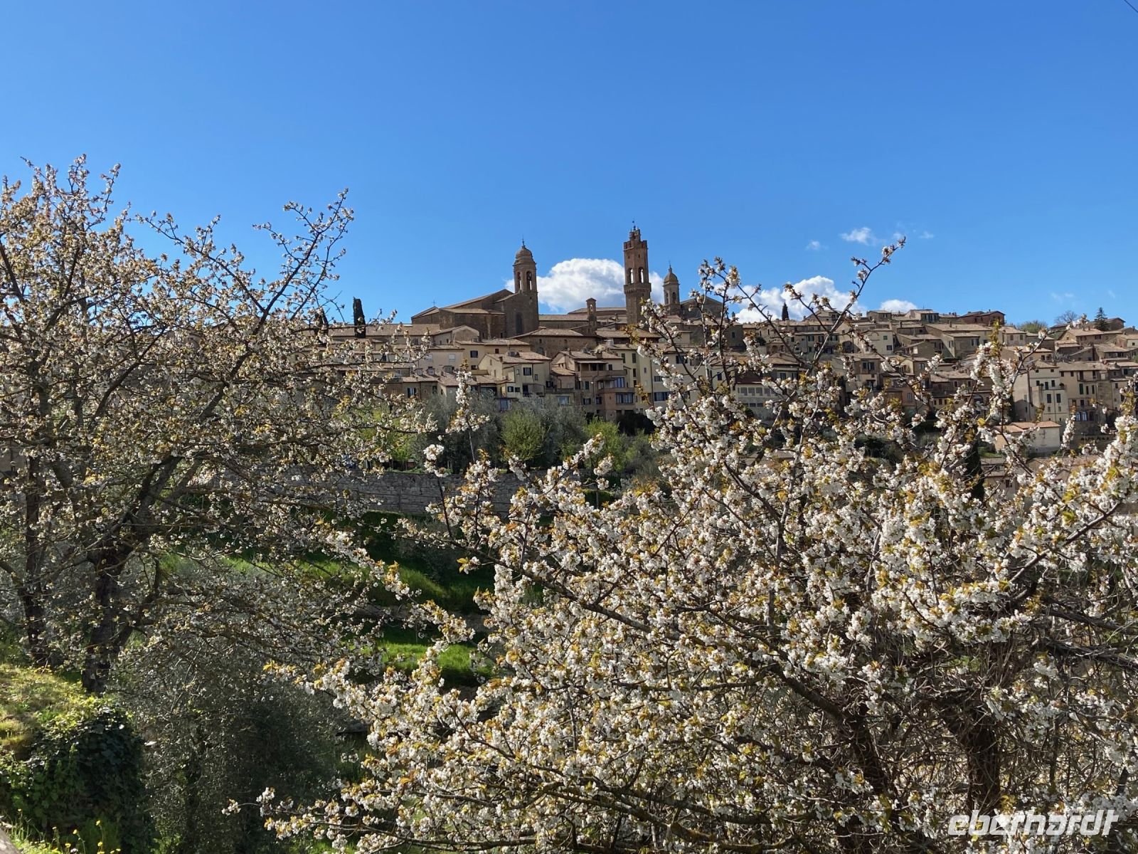 6. Reisetag – Freizeit in Monalcino – Altstadtpanorama