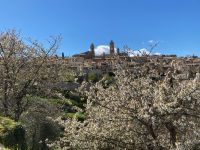 6. Reisetag – Freizeit in Monalcino – Altstadtpanorama