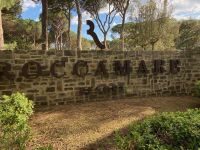 7. Reisetag – Zurück im Resort-Hotel Roccamare