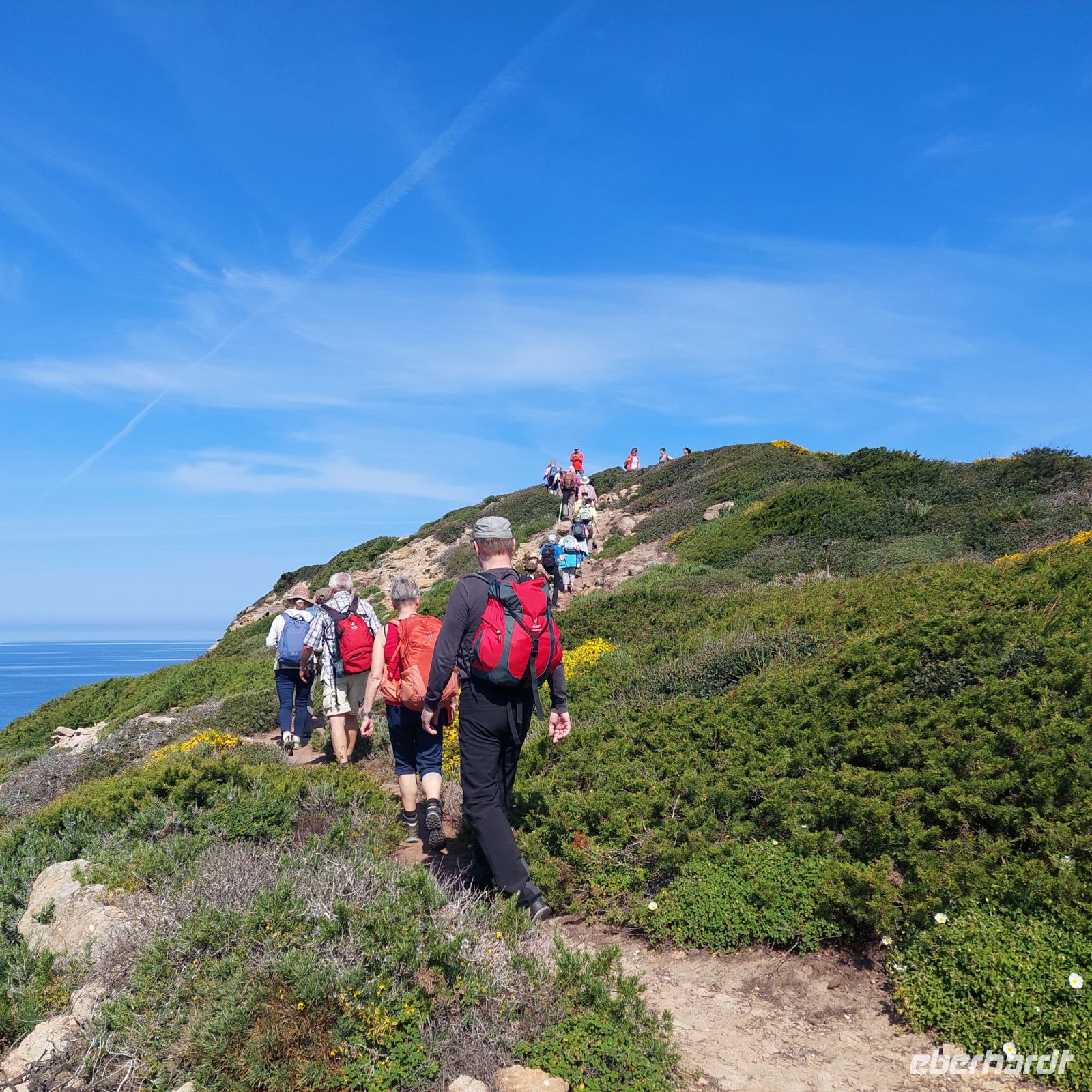 Nurra Küstenwanderung 4