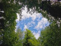 Blick in den Himmel vom Foresta Umbra aus