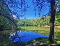 An einem See im Foresta Umbra