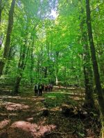 Wir wandern im Foresta Umbra