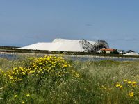 Salz wird in Apulien abgebaut und dann zu großen Haufen aufgeschichtet