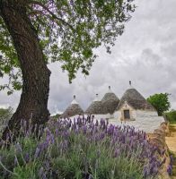 Valle d´ Itra, Trulli hinter Lavendel