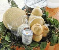 Die Produktpalette der örtlichen Käserei, Cisternino