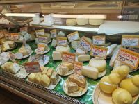 Besuch in der Käserei