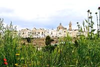 Altstadt von Locorotondo 