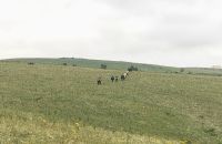 Unsere Gruppe bricht zur Gravinaschlucht auf