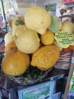 Riesige Zitronen, Capri