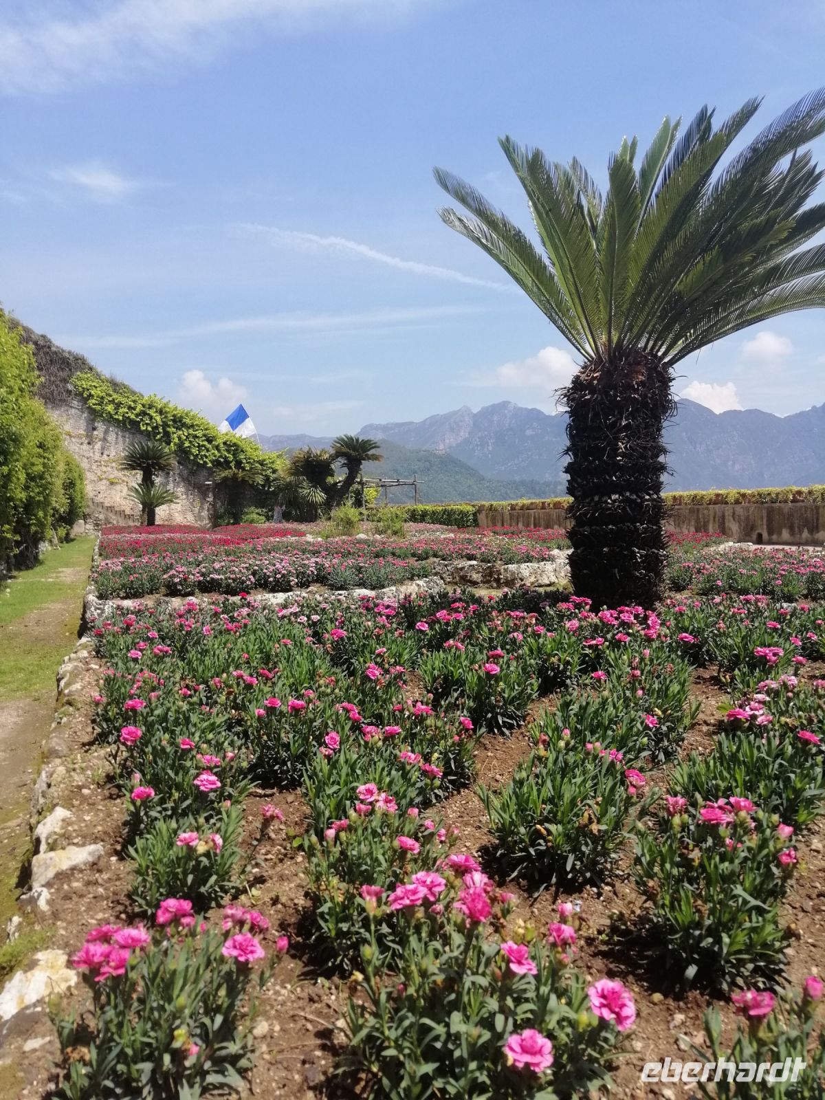 Blumenwiese im Graten der Villa Rufolo in Ravello