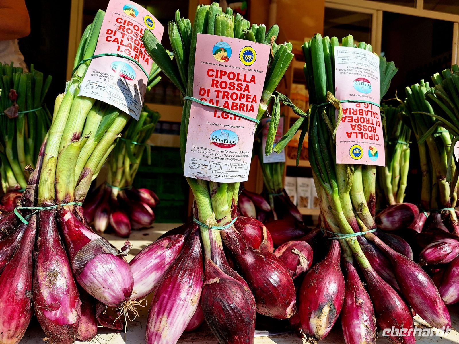 005 Kalabrien - die roten Zwiebeln von Tropea