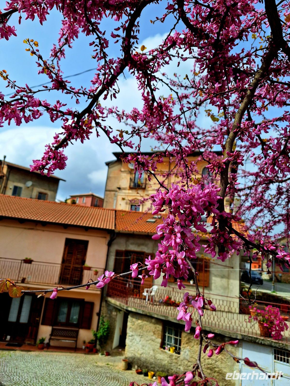 056 Kalabrien Mongiana