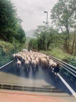 In den Monti Lattari