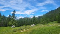 209 – Italien, Trentino, Madonna di Campiglio, Wanderung