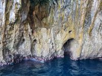 Schifffahrt rund um die Insel Capri...