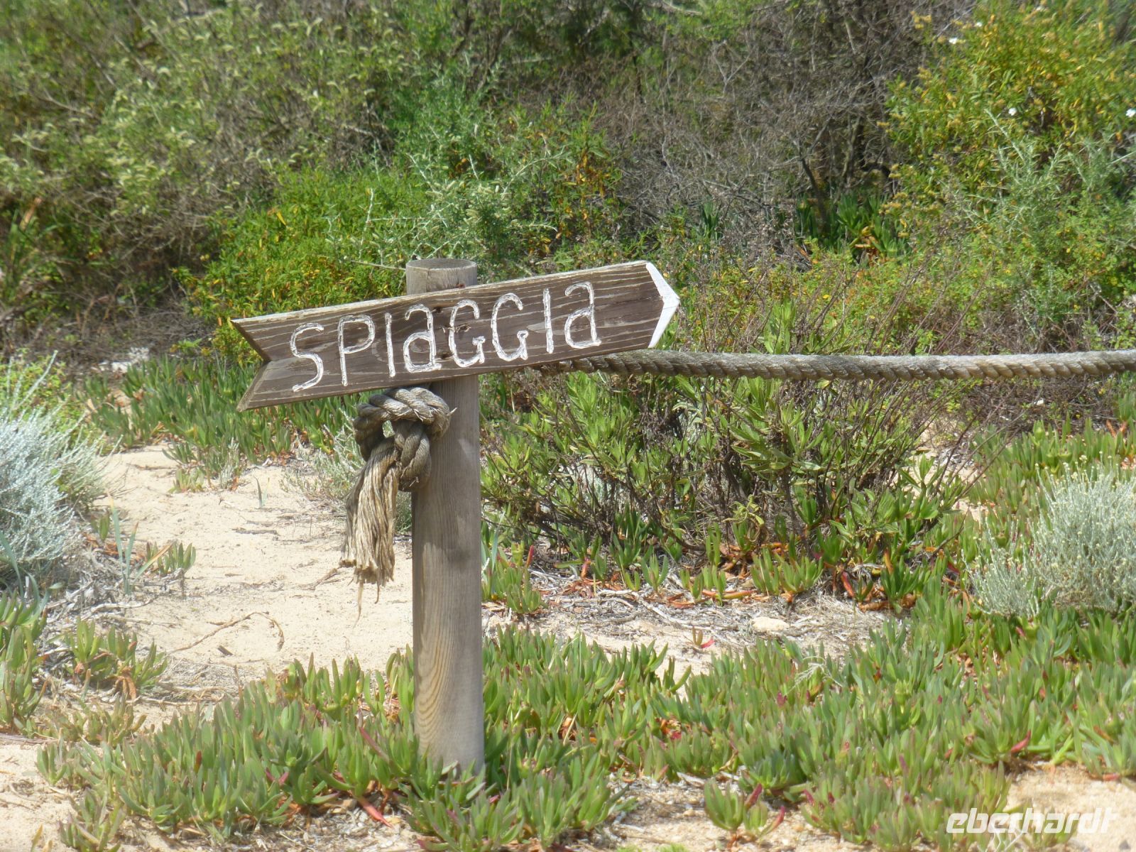 Hier geht es lang…