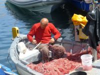 Nicht alle haben heute frei.