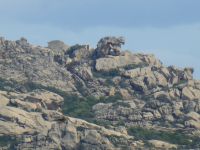 … dem Bärenfelsen. Bitte achten Sie auf die große Lücke zwischen den Beinen.