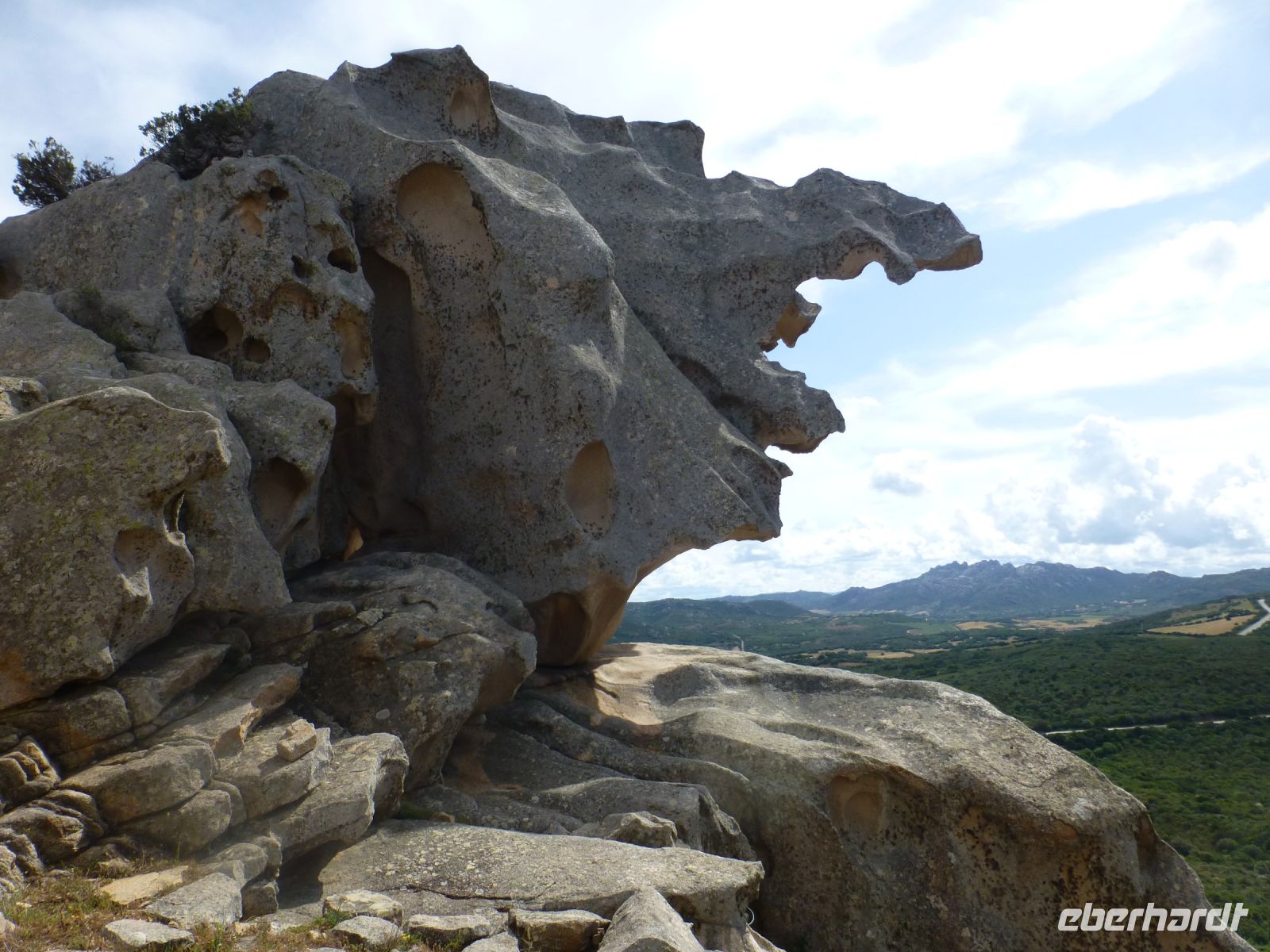 Je nach Blickwinkel ist der Bär kein Bär mehr. 