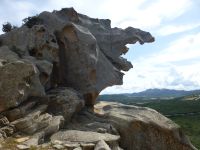 Je nach Blickwinkel ist der Bär kein Bär mehr. 