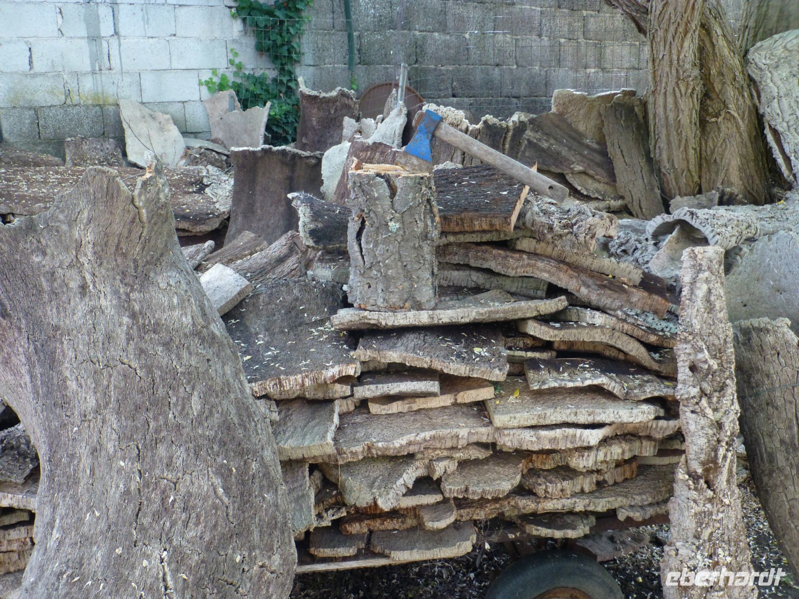 Das wichtigste Werkzeug beim Entrinden der Korkeiche ist die Axt.