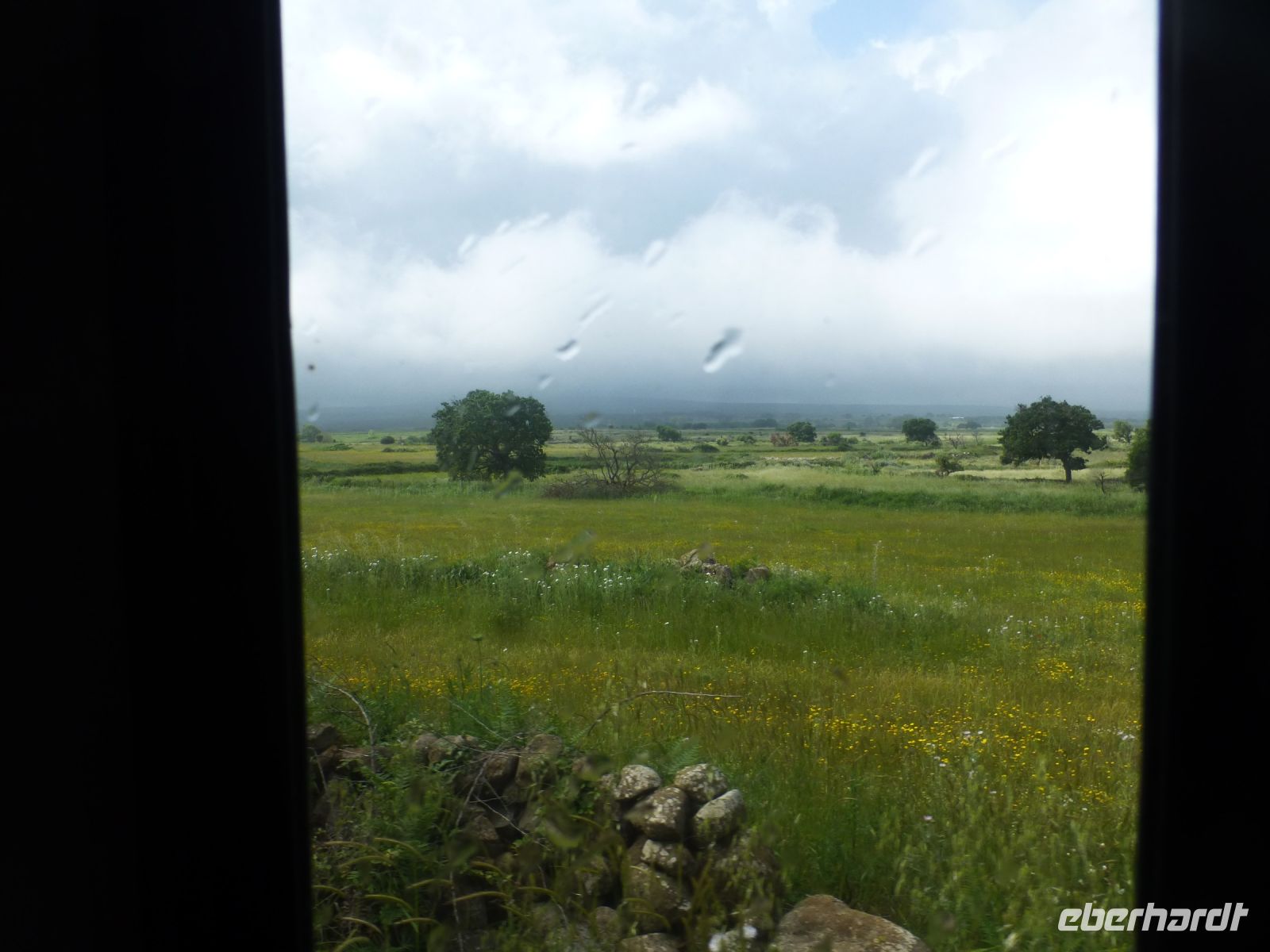 Blick aus dem Trenino Verde auf üppiges Weideland. Die Region ist für ihre Käseproduktion bekannt. 