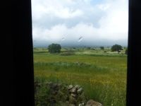 Blick aus dem Trenino Verde auf üppiges Weideland. Die Region ist für ihre Käseproduktion bekannt. 