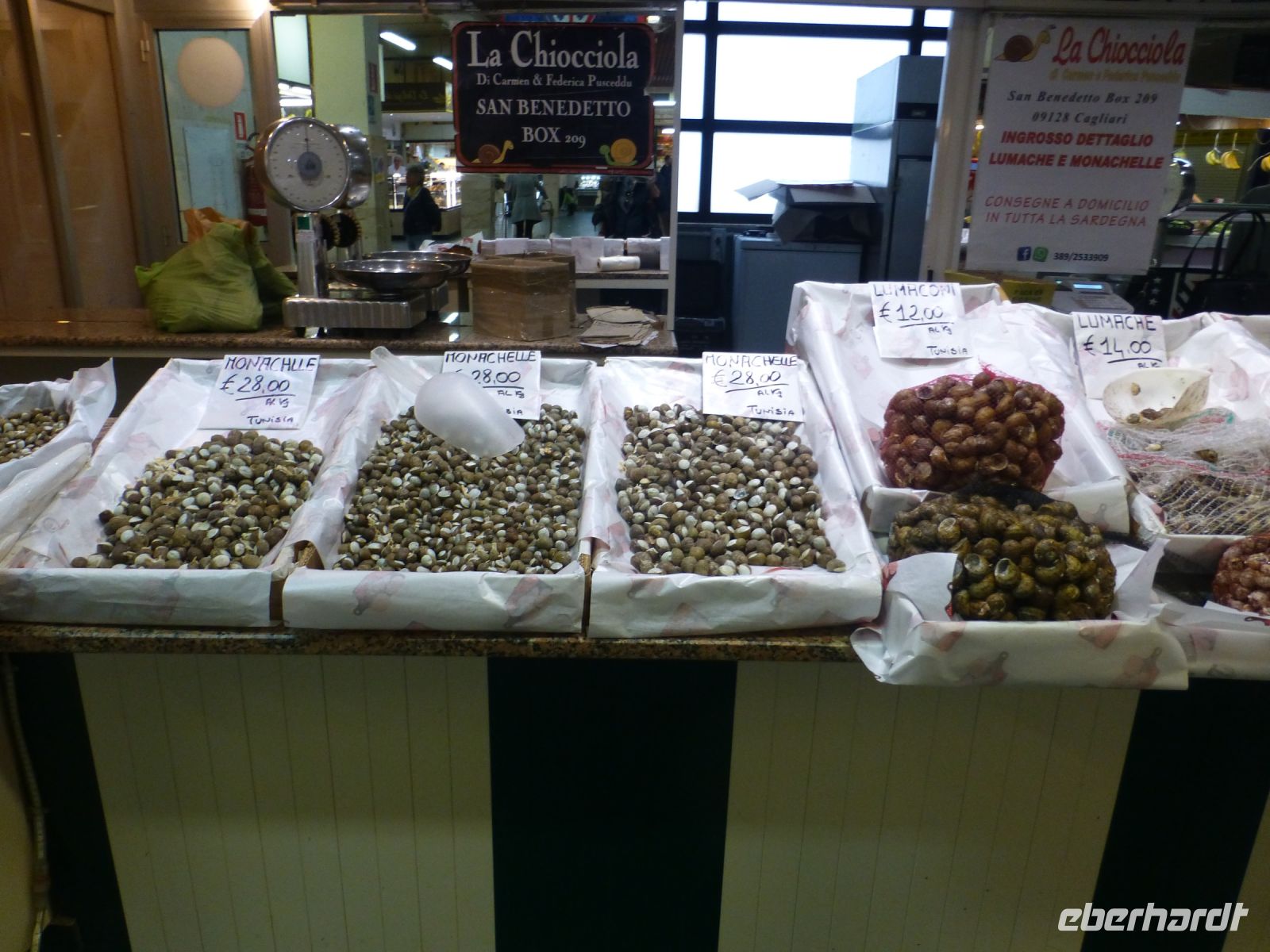 Schnecken in allen Varianten