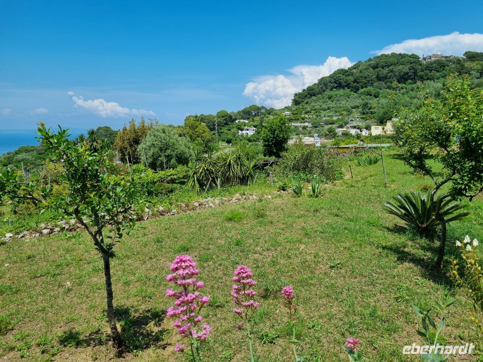 Wanderung zur Villa Jovis...