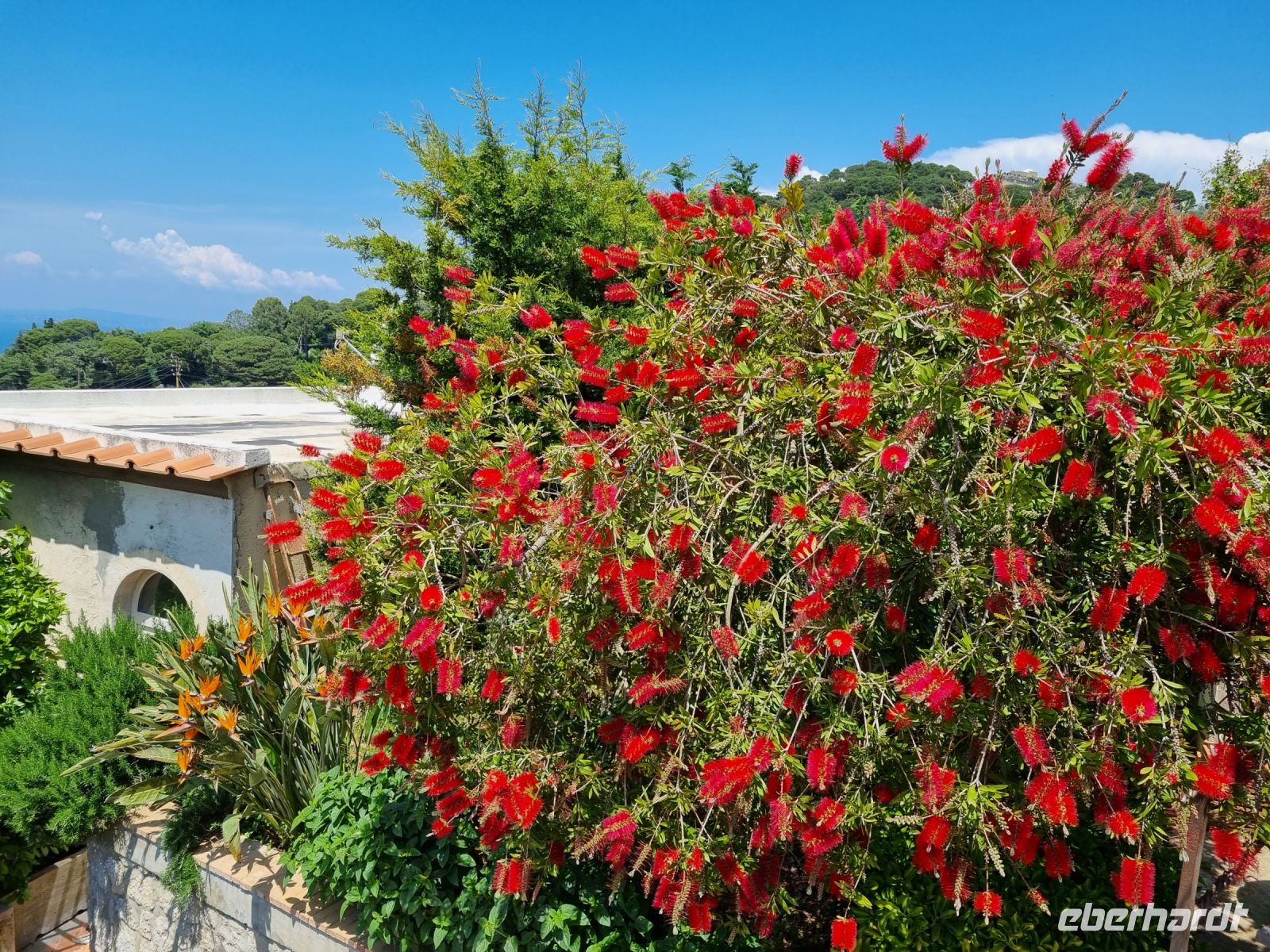 Wanderung zur Villa Jovis...