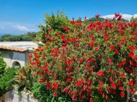 Wanderung zur Villa Jovis...