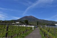 Vulkane Italiens 0022