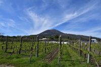 Vulkane Italiens 0023