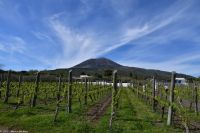 Vulkane Italiens 0024