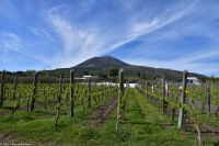 Vulkane Italiens 0025