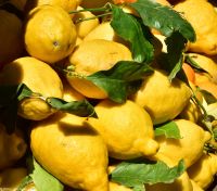 Vulkane Italiens 0059