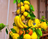 Vulkane Italiens 0090