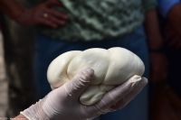 Vulkane Italiens 0097