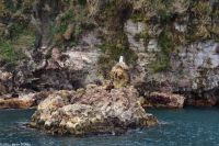 Vulkane Italiens 0153