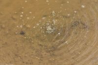 Vulkane Italiens 0161