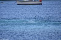 Vulkane Italiens 0162